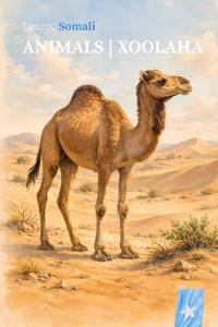 Arlo, I: ANIMALS | XOOLAHA