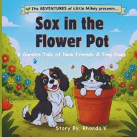 Sox in the Flower Pot