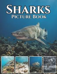 Sharks