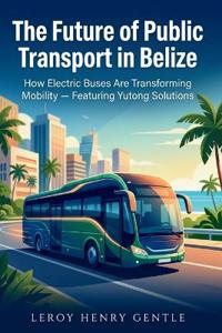 The Future of Public Transport in Belize