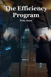 The Efficiency Program