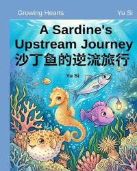 A Sardine's Upstream Journey《沙丁鱼的逆流旅行》
