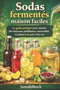 Sodas fermentés maison faciles