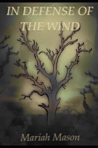In Defense of the Wind