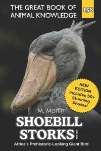Shoebill Storks for Kids