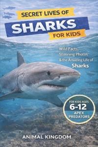 Secret Lives of Sharks for Kids