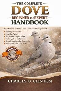 The Complete Dove Beginner to Expert Handbook