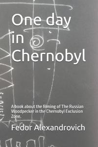One day in Chernobyl