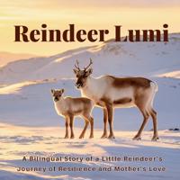 Reindeer Lumi