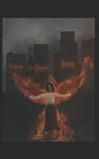 Where The Caged Birds Fly
