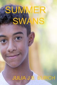 Summer Swans