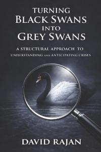 Turning Black Swans Into Grey Swans