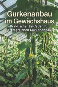Gurkenanbau im Gewächshaus