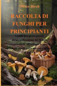 Raccolta Di Funghi Per Principianti
