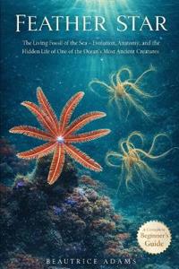 Feather Star