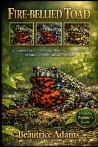 Fire-Bellied Toad