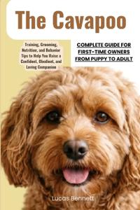 The Cavapoo Complete Guide for First-Time Owners from Puppy to Adult