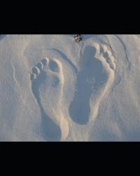 Foot First Legacy