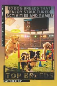 10 Dog Breeds That Enjoy Structured Activities and Games