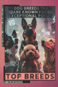 11 Dog Breeds That Are Known for Exceptional Focus