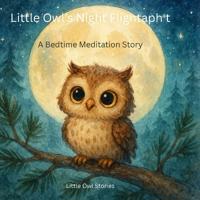 Little Owl's Night Flight