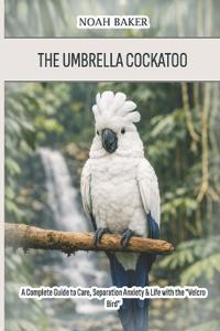 The Umbrella Cockatoo