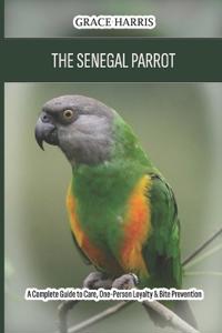 The Senegal Parrot