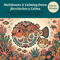 Meltdowns & Calming Down - Berrinches y Calma