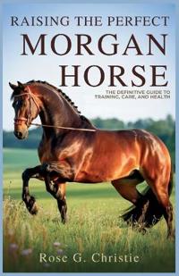 Raising the Perfect Morgan Horse