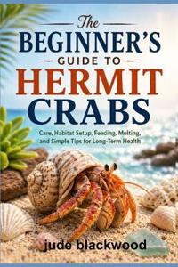 The Beginner's Guide to Hermit Crabs