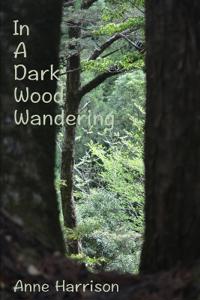 In A Dark Wood Wandering