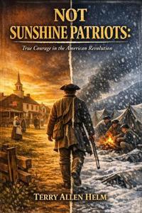 Not Sunshine Patriots