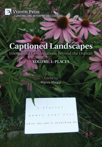 Captioned Landscapes: Intermedial Combinations Beyond the Human