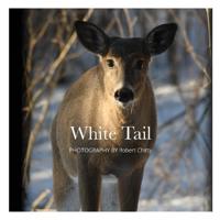 White Tail