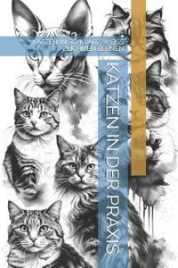 Katzen in Der PRAXIS