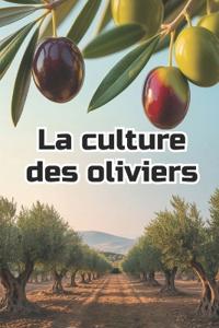 La culture des oliviers