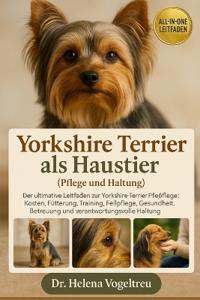 Yorkshire Terrier als Haustier (Pflege und Haltung)