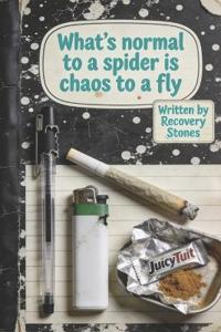 What's NORMAL to a SPIDER Is CHAOS to a FLY