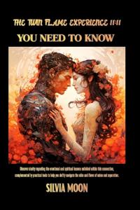 The Twin Flame Experience 11
