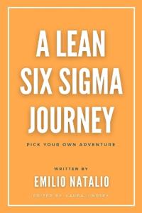 A Lean Six Sigma Journey