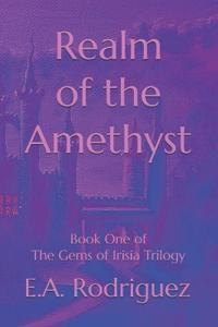 Realm of the Amethyst