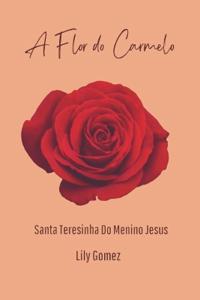 A Flor do Carmelo