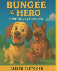 Bungee the Hero