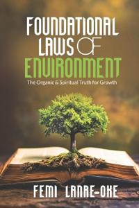 Foundational Laws of Environment