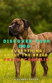 Discover your dog