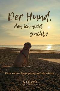 Der Hund, den ich nicht suchte