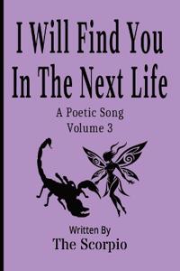 I Will Find You In The Next Life