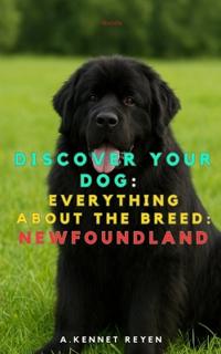 Discover your dog