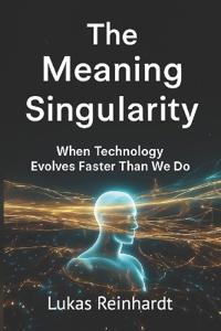 The Meaning Singularity