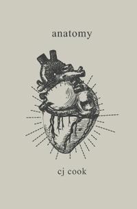 anatomy